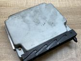 Engine control unit/module ECU