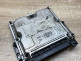 Engine control unit/module ECU