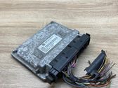 Engine control unit/module ECU