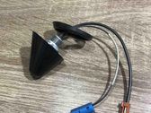 Radion antenni