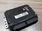 Motorsteuergerät ECU