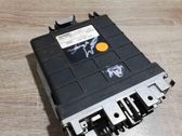 Engine control unit/module ECU