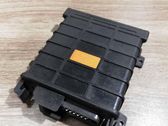 Engine control unit/module ECU