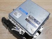 Engine control unit/module ECU
