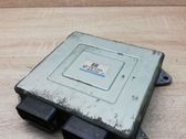 Engine control unit/module ECU
