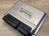 Engine control unit/module ECU