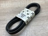 Alternator belt