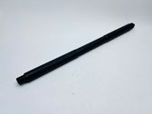 Tailgate/trunk strut/damper