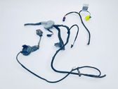 Front door wiring loom