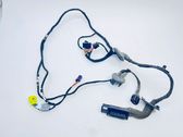 Front door wiring loom