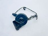 Signal sonore