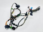 Front door wiring loom