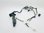 Rear door wiring loom