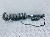 Rear shock absorber/damper