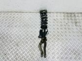Front shock absorber with coil spring