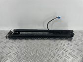 Tailgate/trunk strut/damper