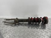 Front shock absorber with coil spring