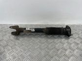 Rear shock absorber/damper