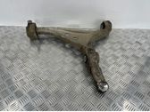 Front lower control arm/wishbone