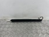 Tailgate/trunk strut/damper