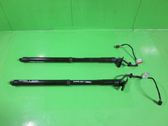 Tailgate/trunk strut/damper