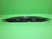 Trunk door license plate light bar