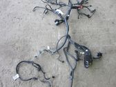 Other wiring loom