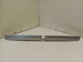 Trunk door license plate light bar