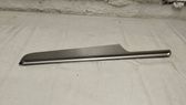 Rear door trim (molding)