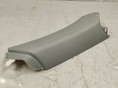 (C) pillar trim