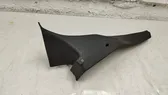 (C) pillar trim