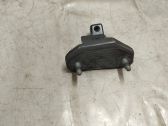 Rear door lower hinge