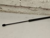 Tailgate/trunk strut/damper