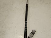 Tailgate/trunk strut/damper