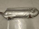 Exhaust heat shield