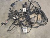 Tailgate/trunk wiring harness