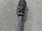 Front shock absorber/damper
