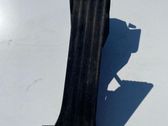 Accelerator throttle pedal