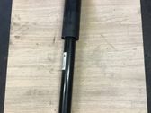 Rear shock absorber/damper
