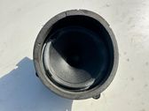 Altavoz de la puerta trasera