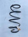 Front coil spring