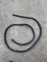 Trunk rubber seal (body)