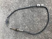 Abgastemperatursensor