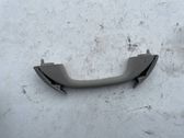 Front interior roof grab handle