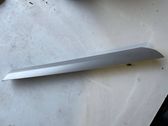 Front door trim bar