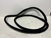 Front door rubber seal