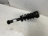 Rear shock absorber/damper