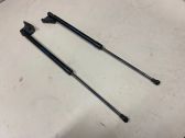 Tailgate/trunk strut/damper