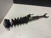 Front shock absorber with coil spring