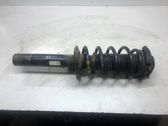 Front shock absorber with coil spring